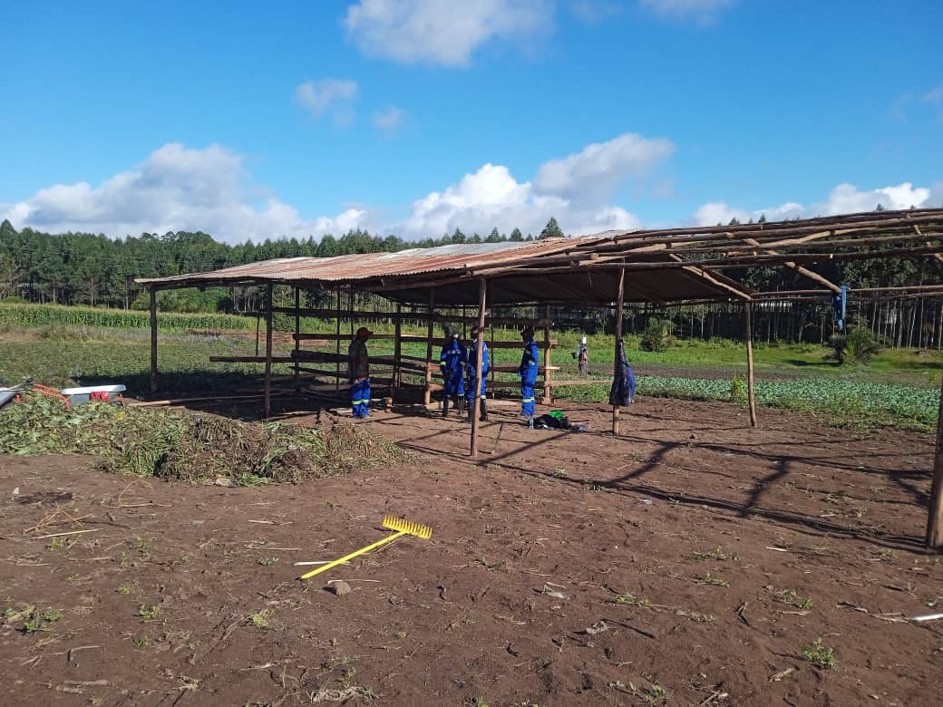 Sustainable Farming
